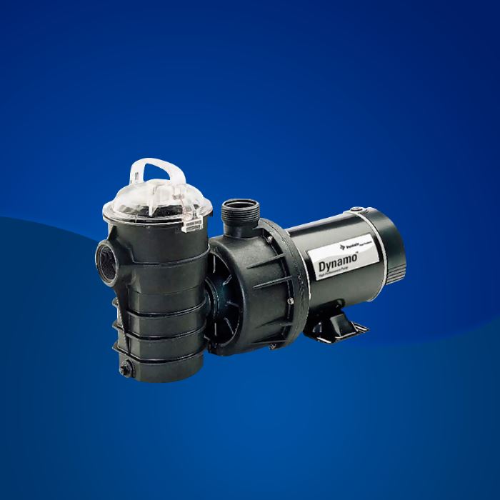 DYNAMO 1 HP 110